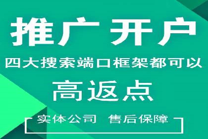 百度推广案例：精准广告投放策略解析